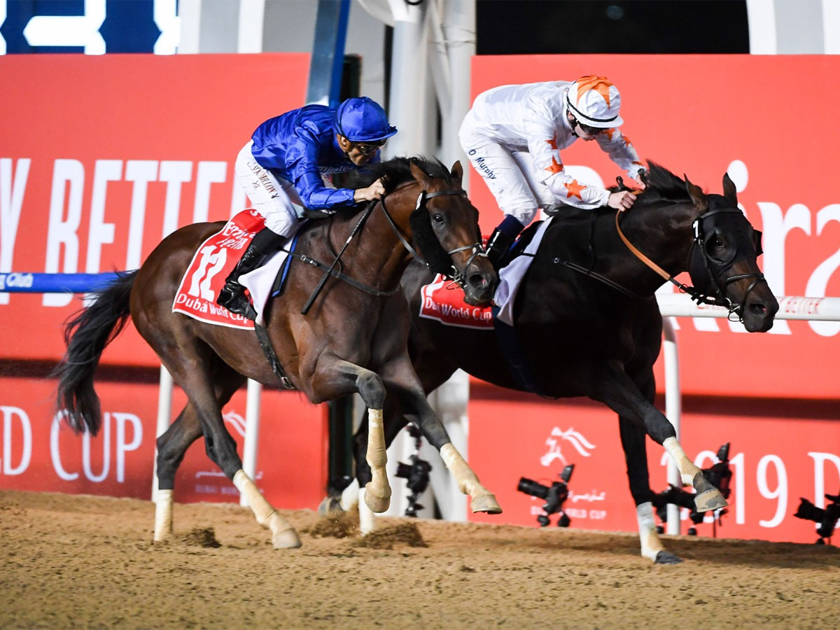 Dubai World Cup 2019 Live Updates And Results From Meydan 1659